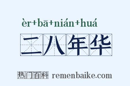 二八年华是什么意思的图片